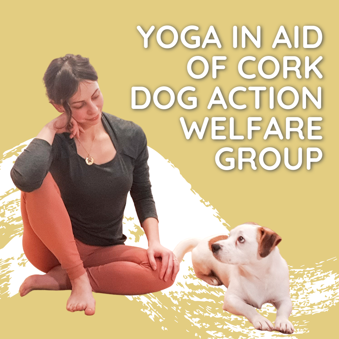 Restorative Yoga - In Aid of the Cork Dog Action Welfare Group